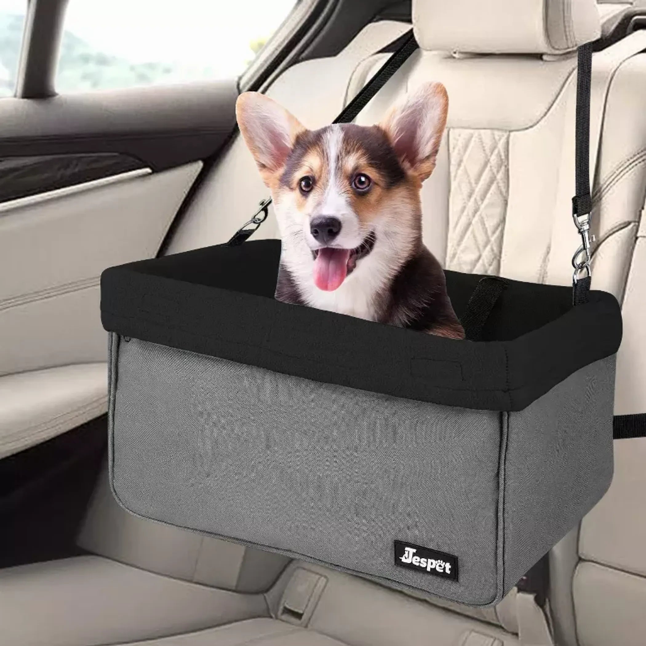Portable Dog Booster Car Seat & Travel Carrier – Up to 24 lb