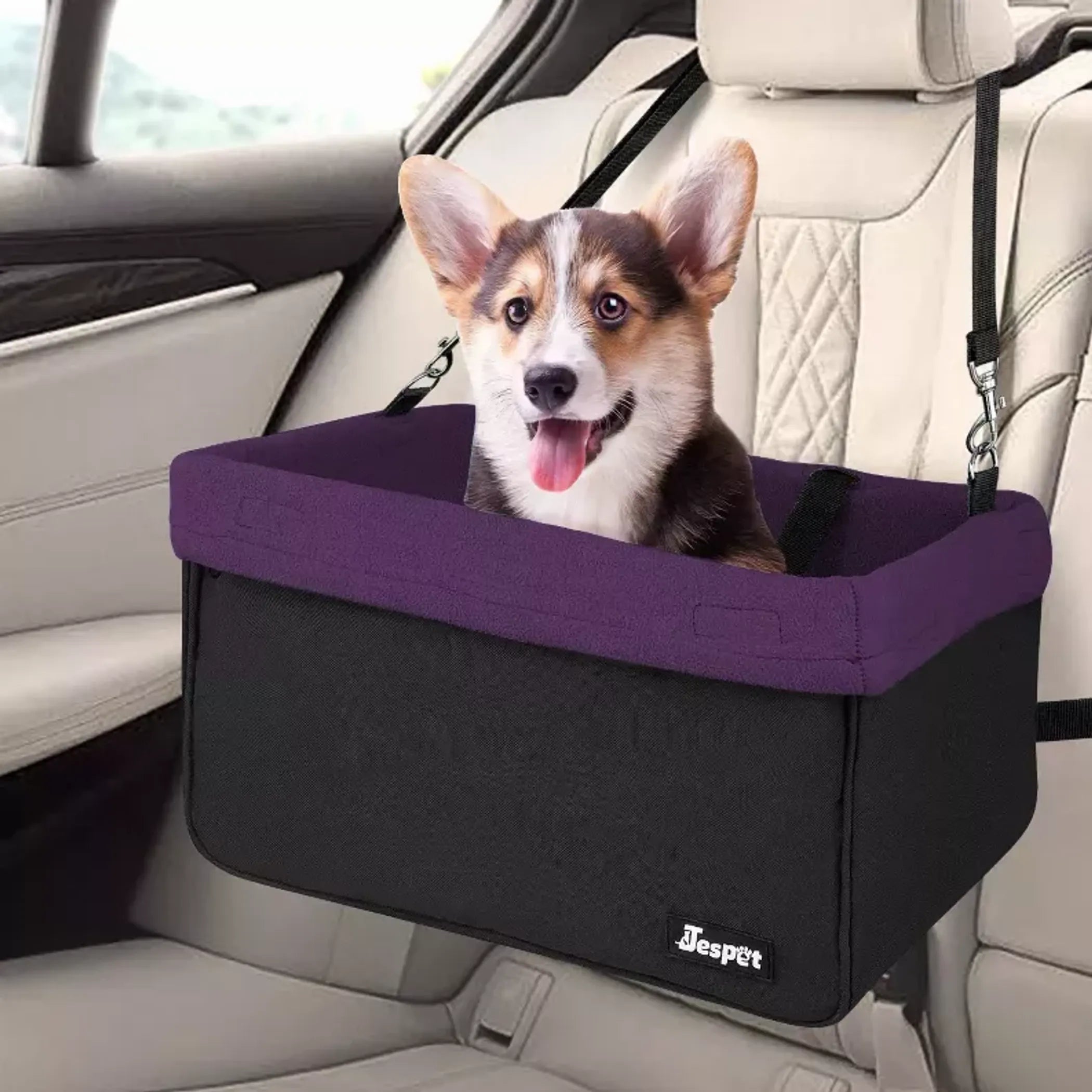 Portable Dog Booster Car Seat & Travel Carrier – Up to 24 lb