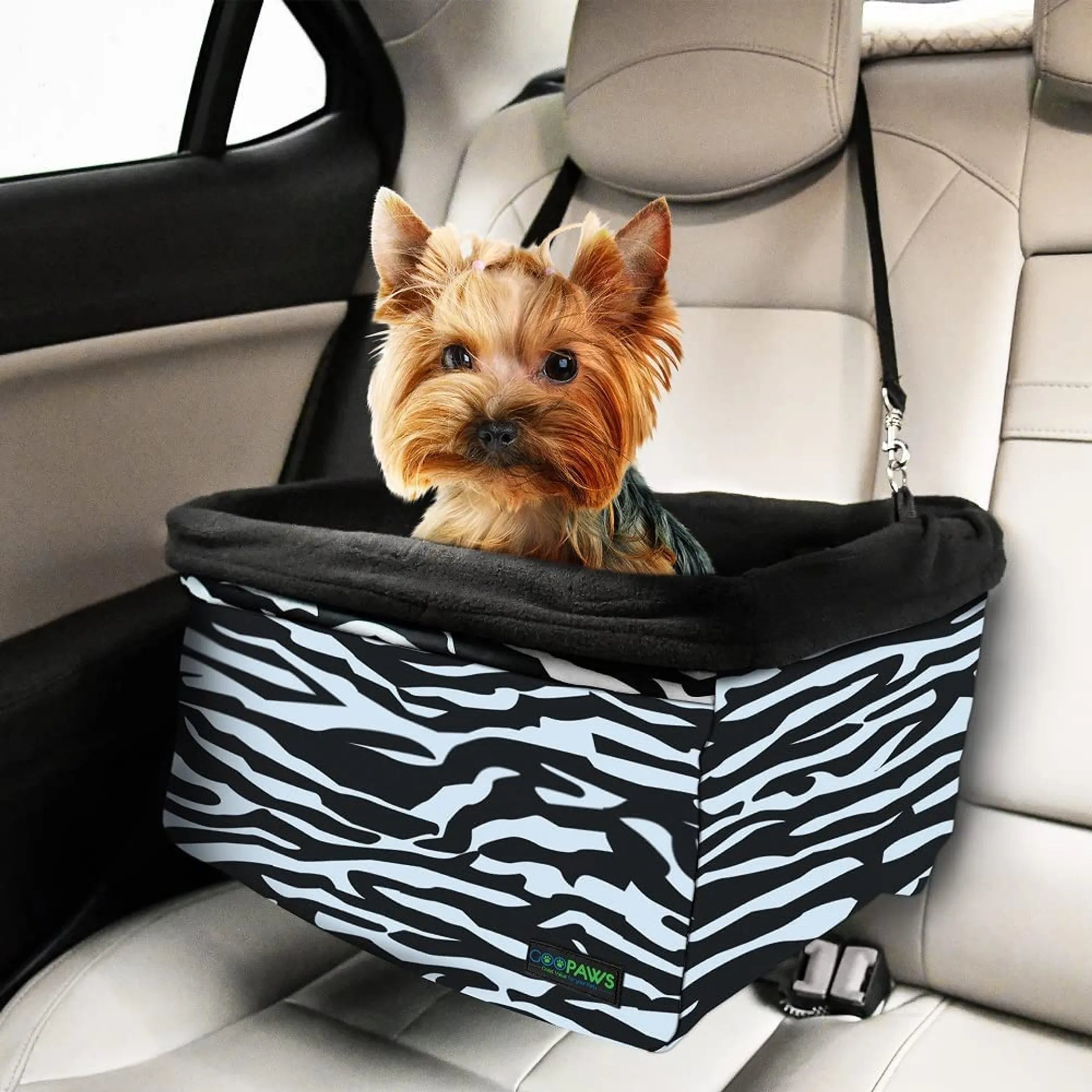 Portable Dog Booster Car Seat & Travel Carrier – Up to 24 lb