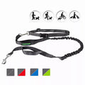 Adventure Hands-Free Dog Leash