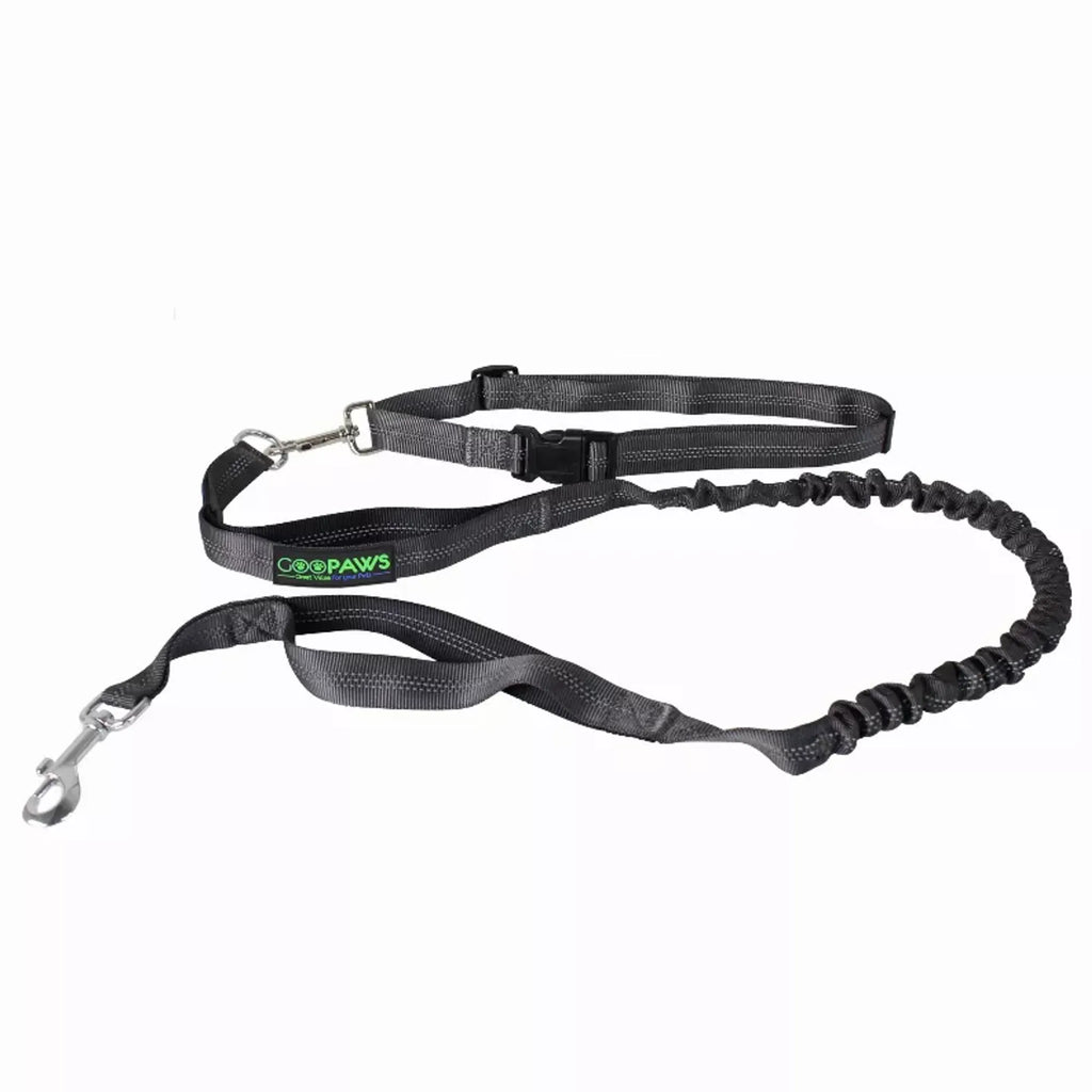 Adventure Hands-Free Dog Leash