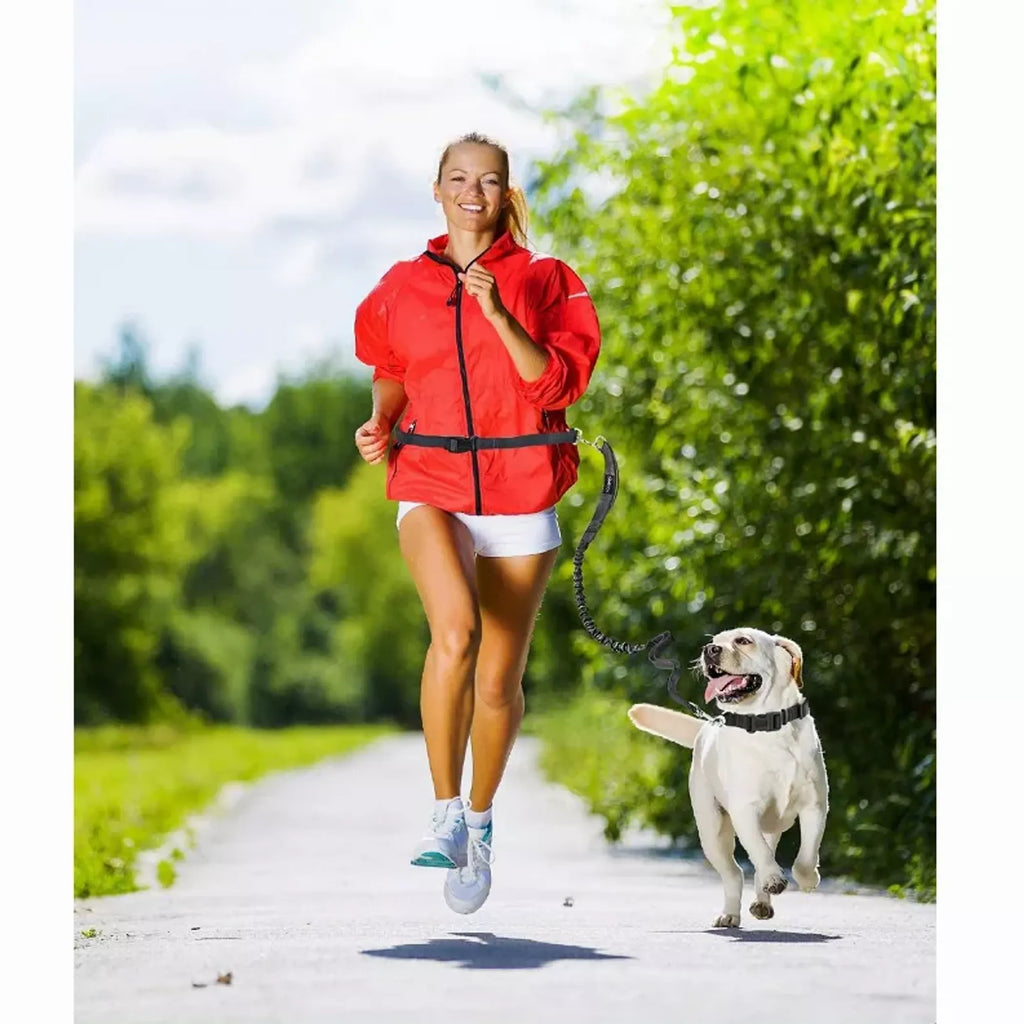 Adventure Hands-Free Dog Leash