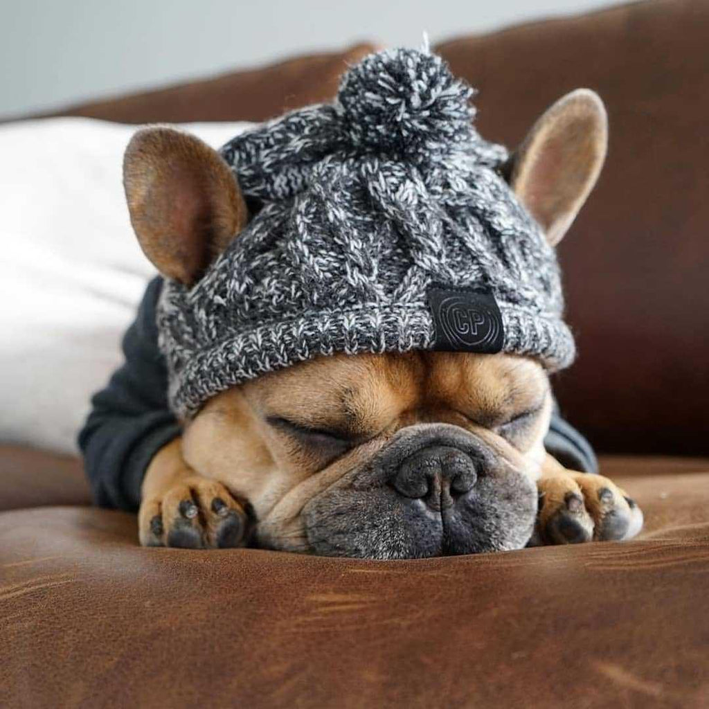 Fluffy Polar Pom Knitted Dog Hat