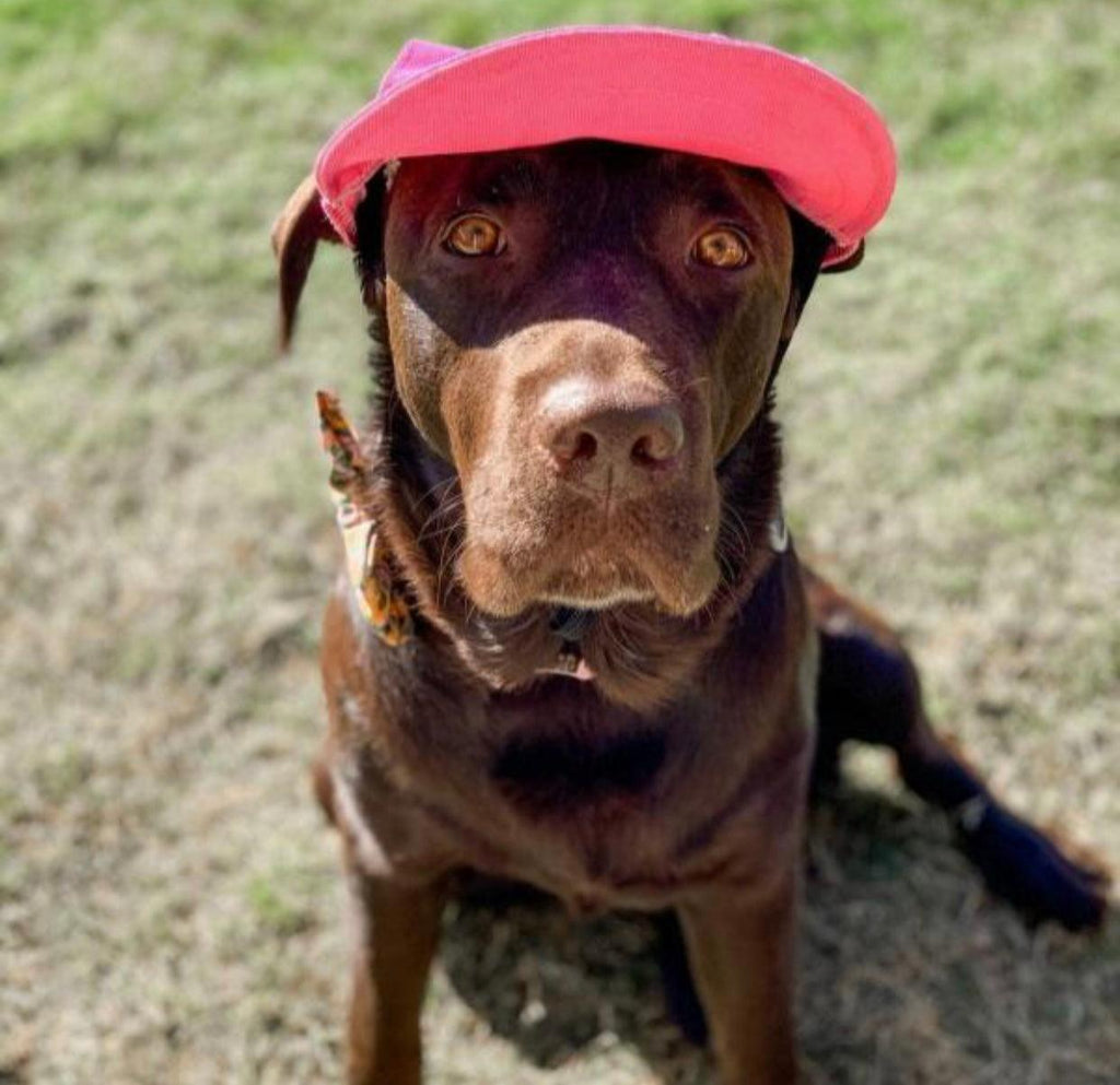 Pink Dog Sun Hat
