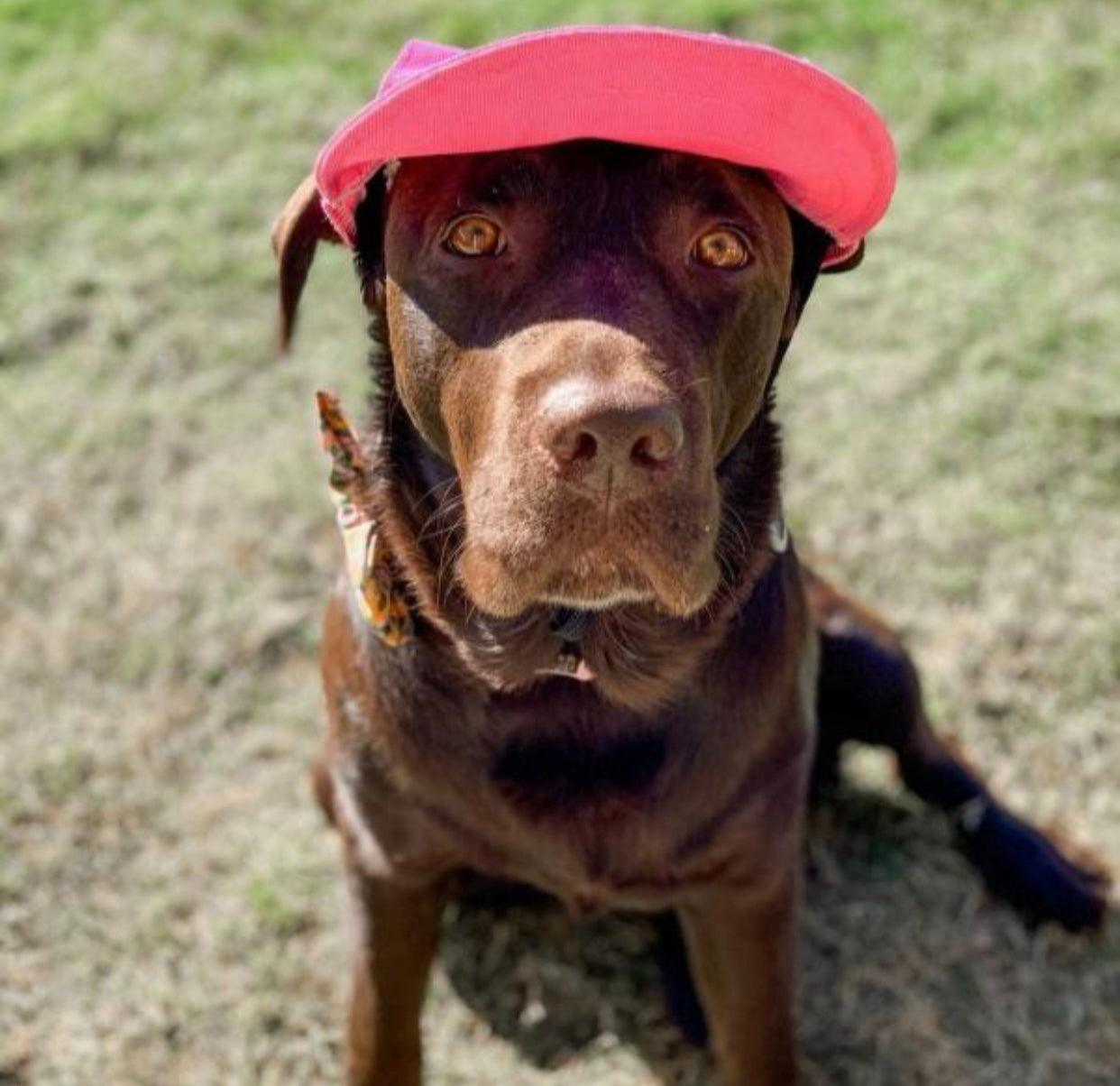 Pink Dog Sun Hat