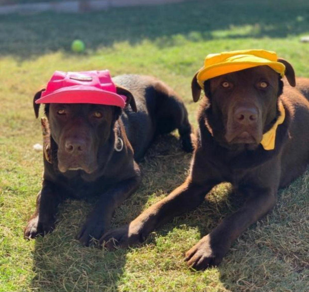 Pink Dog Sun Hat