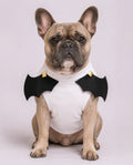 Bat Boy- Dog Shirt
