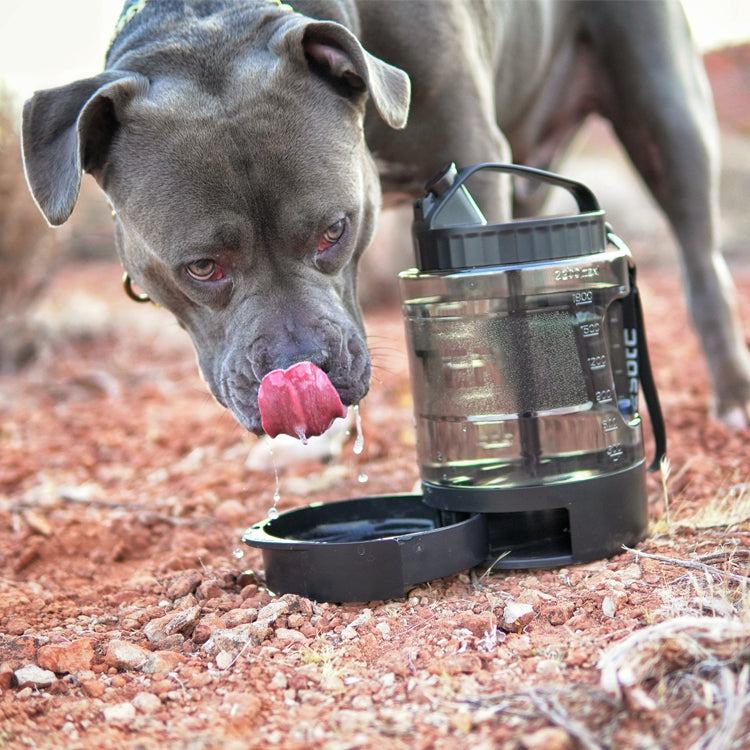 77 oz Large Dog Travel Water Bowl Dispenser