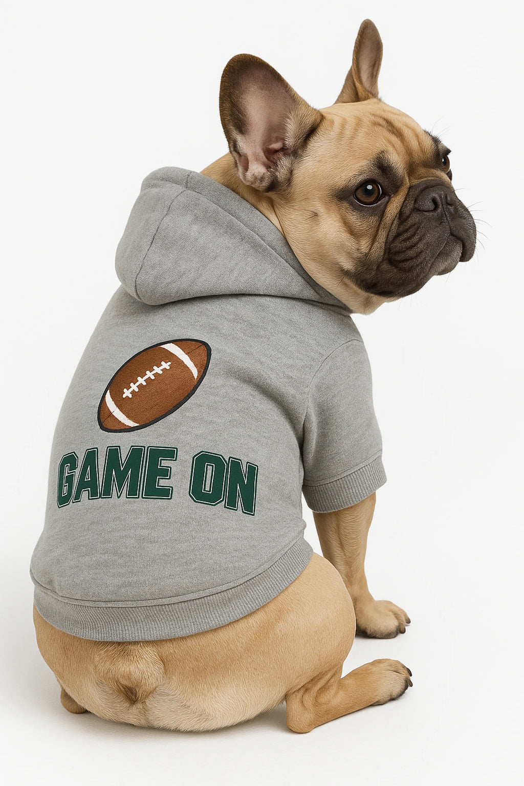 Game On Football Dog Hoodie