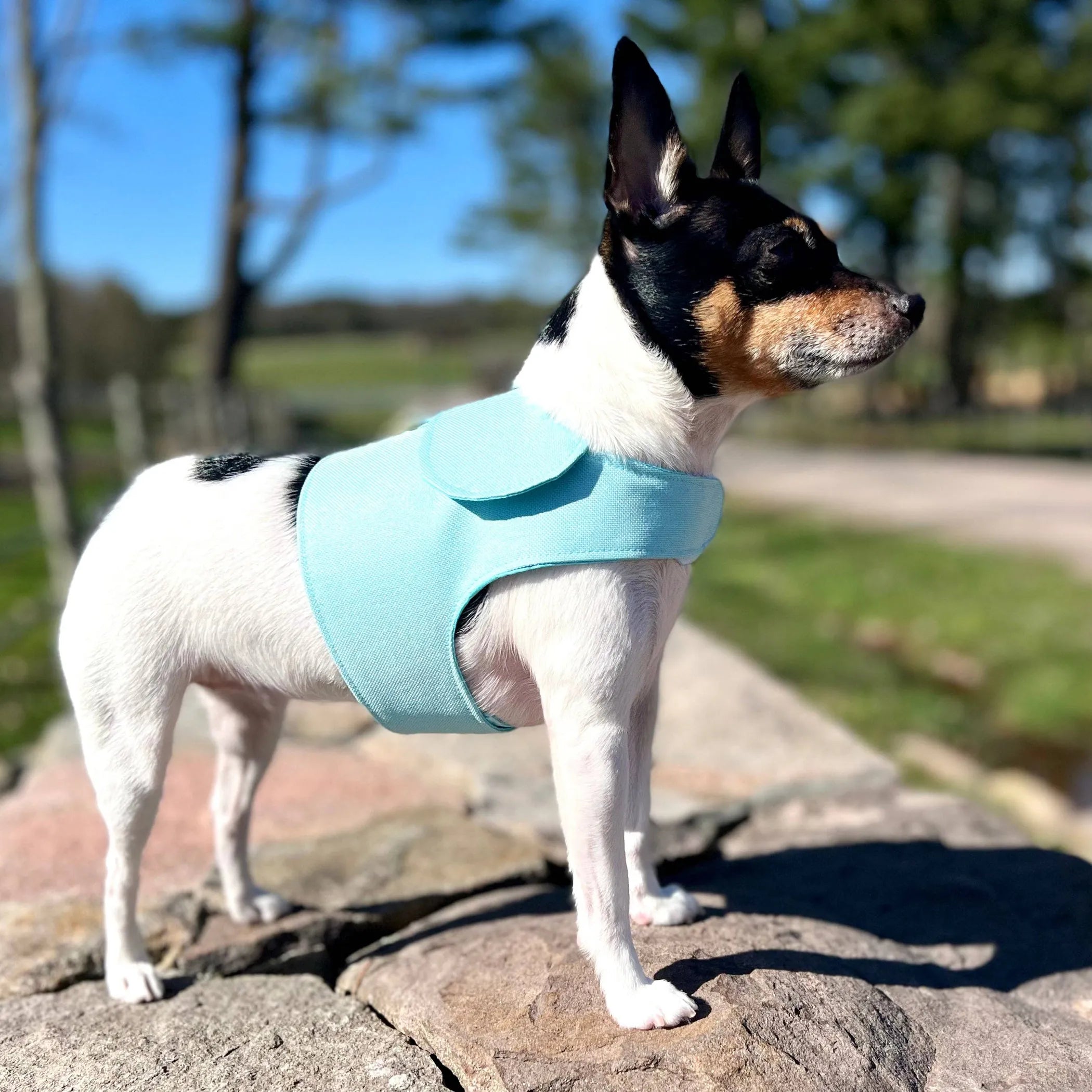 Denim Flower Dog Harness Vest | Pink & Blue