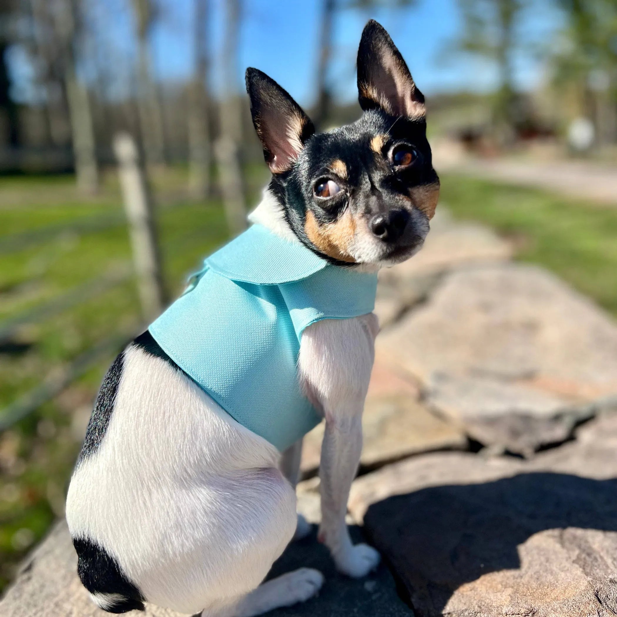 Denim Flower Dog Harness Vest | Pink & Blue