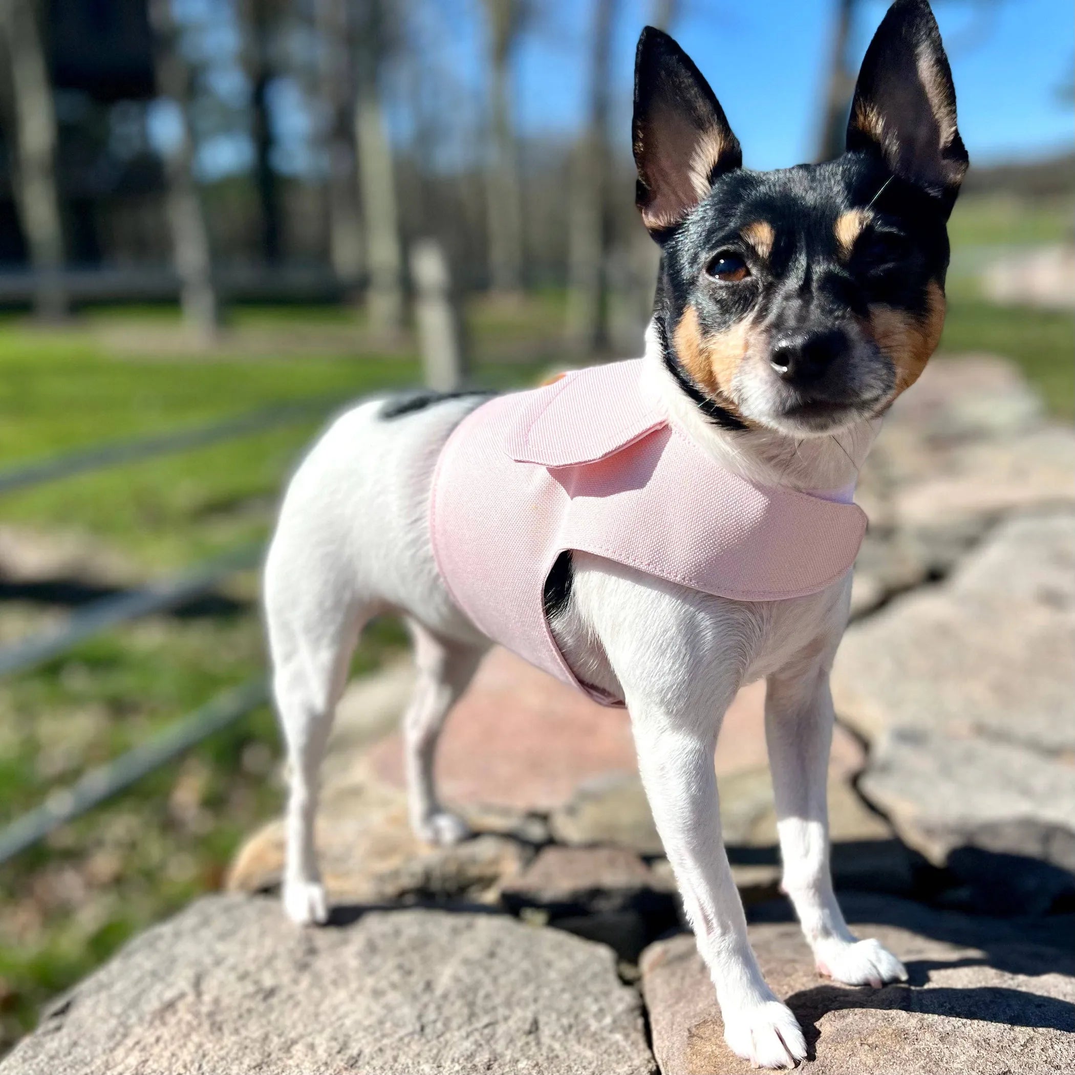 Denim Flower Dog Harness Vest | Pink & Blue