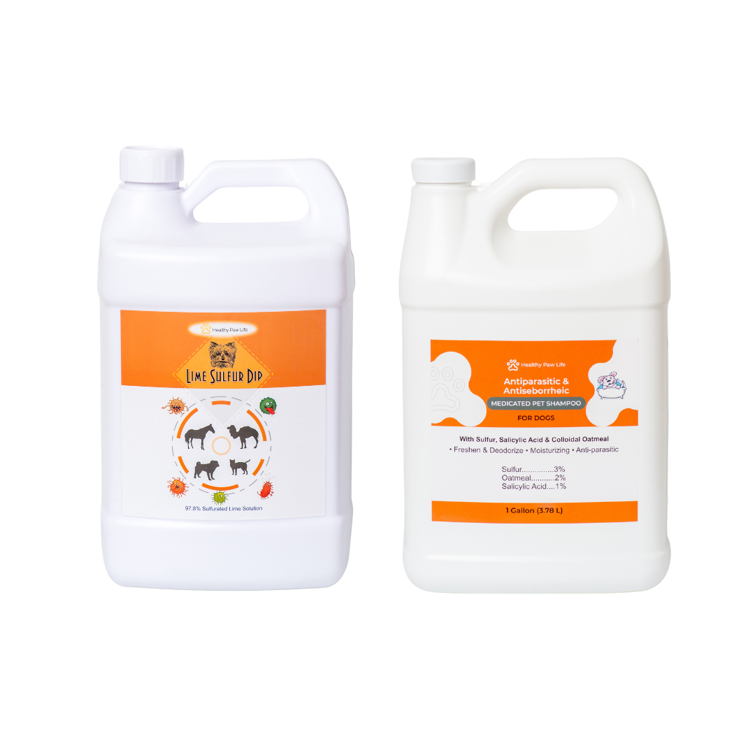 Skin & Coat Care Duo – Lime Sulfur Dip & Medicated Dog Shampoo