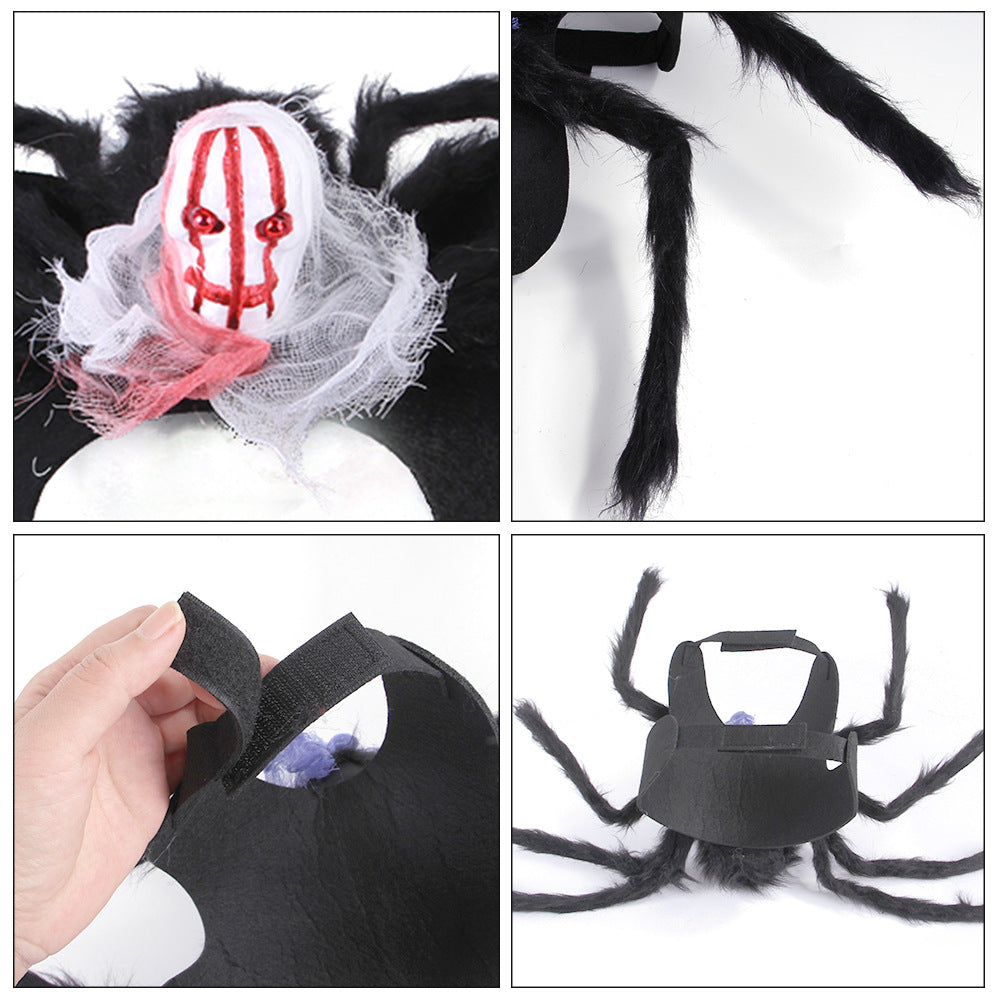 Skull Spider Halloween Pet Costume