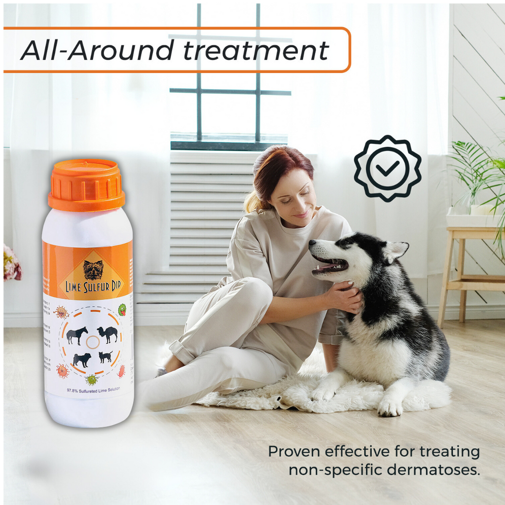 Skin & Coat Care Duo – Lime Sulfur Dip & Medicated Dog Shampoo