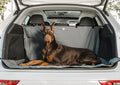 GF Pet® Waterproof Cargo Cover – Car Trunk Protector