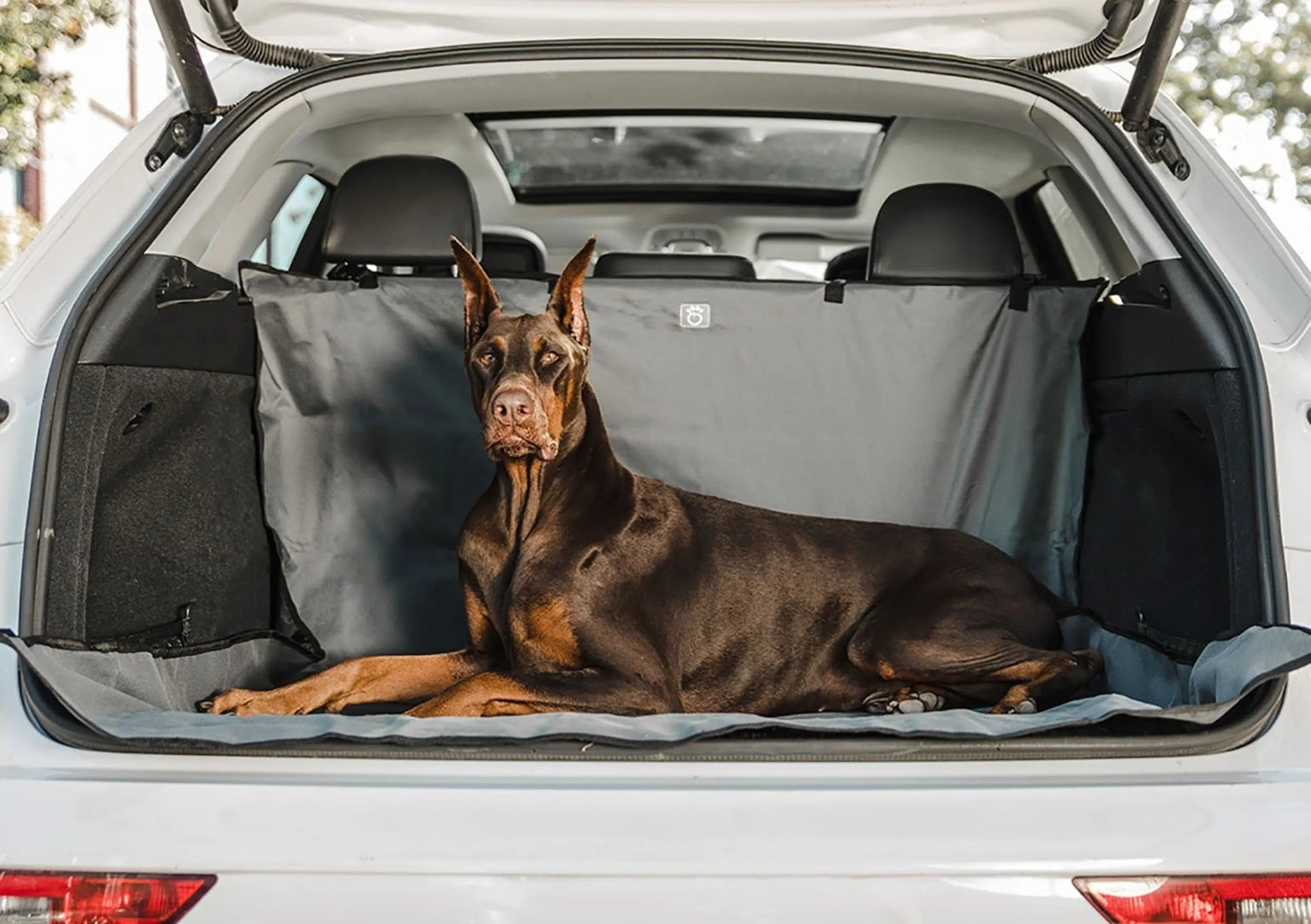 GF Pet® Waterproof Cargo Cover – Car Trunk Protector