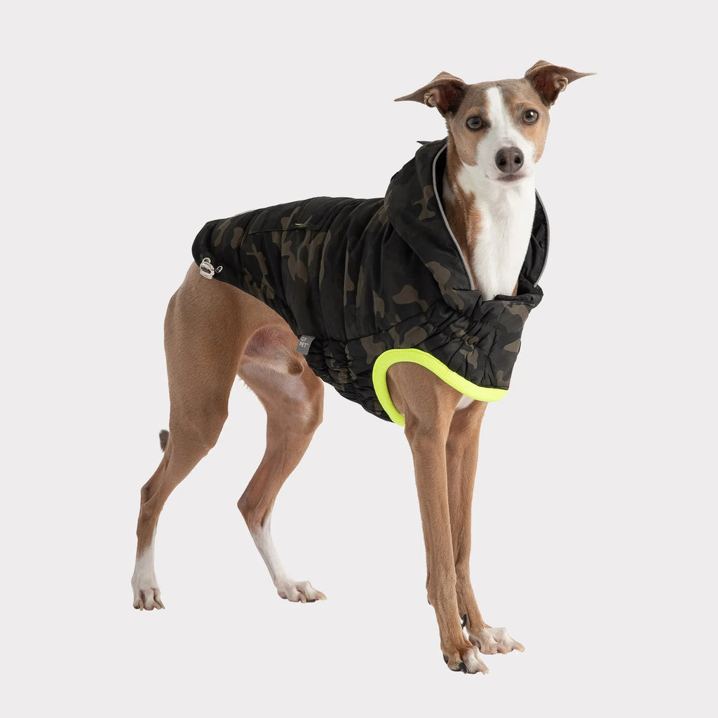 GF Pet® Recycled Parka | Water-Resistant Winter Dog Jacket