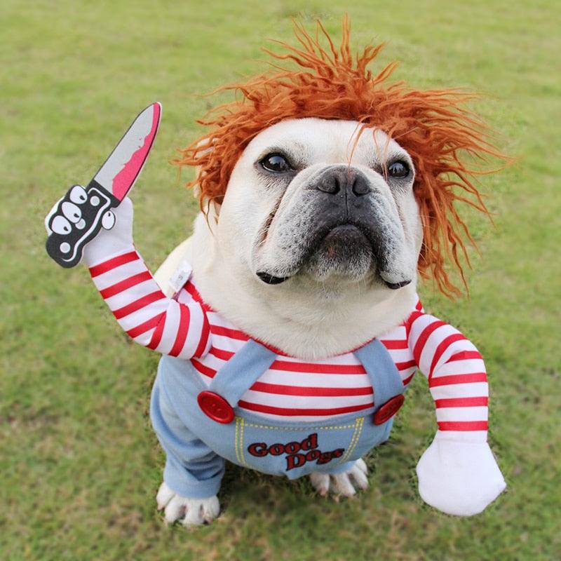 Halloween Dog Rider Costume – Scary & Horseman