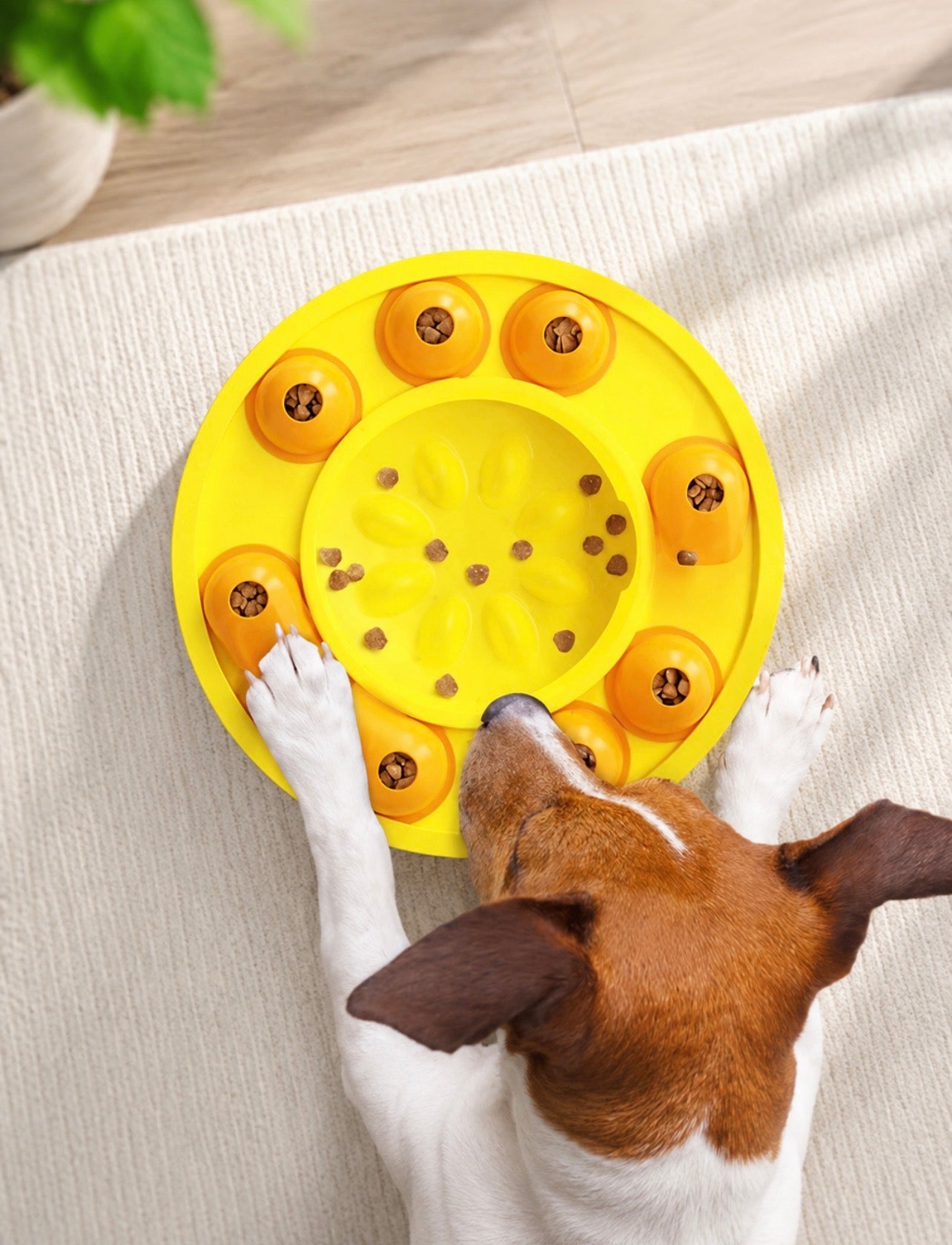 Interactive Dog Puzzle Feeder & Slow Feeder Bowl