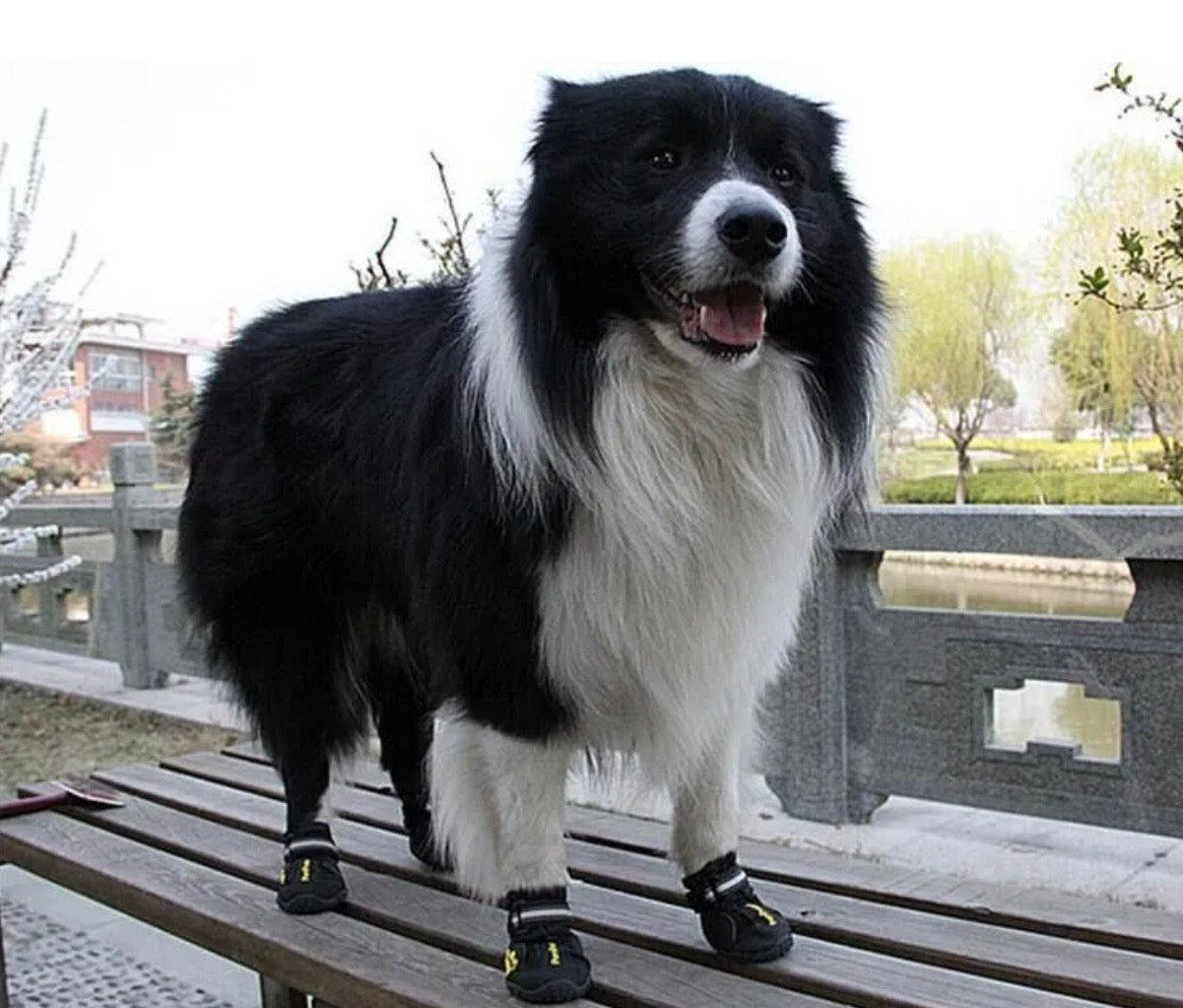 All-Terrain Waterproof Dog Boots
