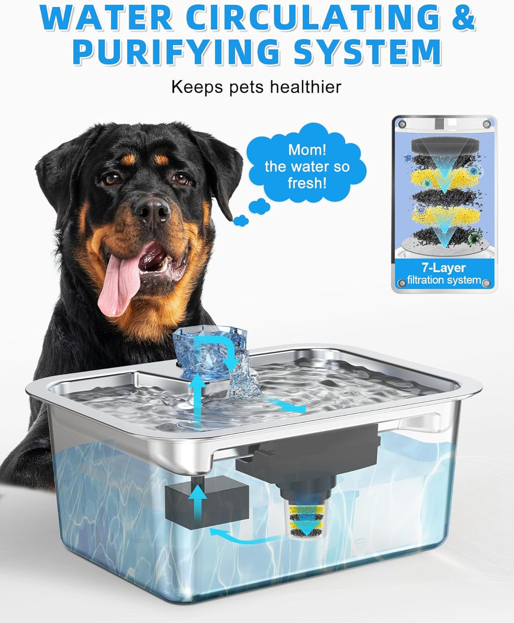 3Gallons/11L Stainless Steel Dog Water Fountain