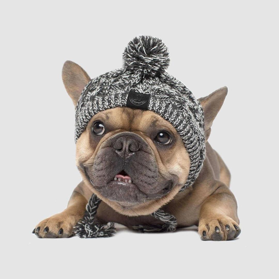 Fluffy Polar Pom Knitted Dog Hat