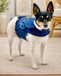 Denim Flower Dog Harness Vest | Pink & Blue