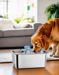 3Gallons/11L Stainless Steel Dog Water Fountain