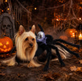 Skull Spider Halloween Pet Costume