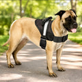 Guardian Gear Excursion Reflective Dog Harness