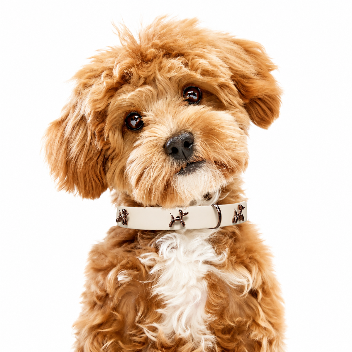 Beige Charm Dog Collar