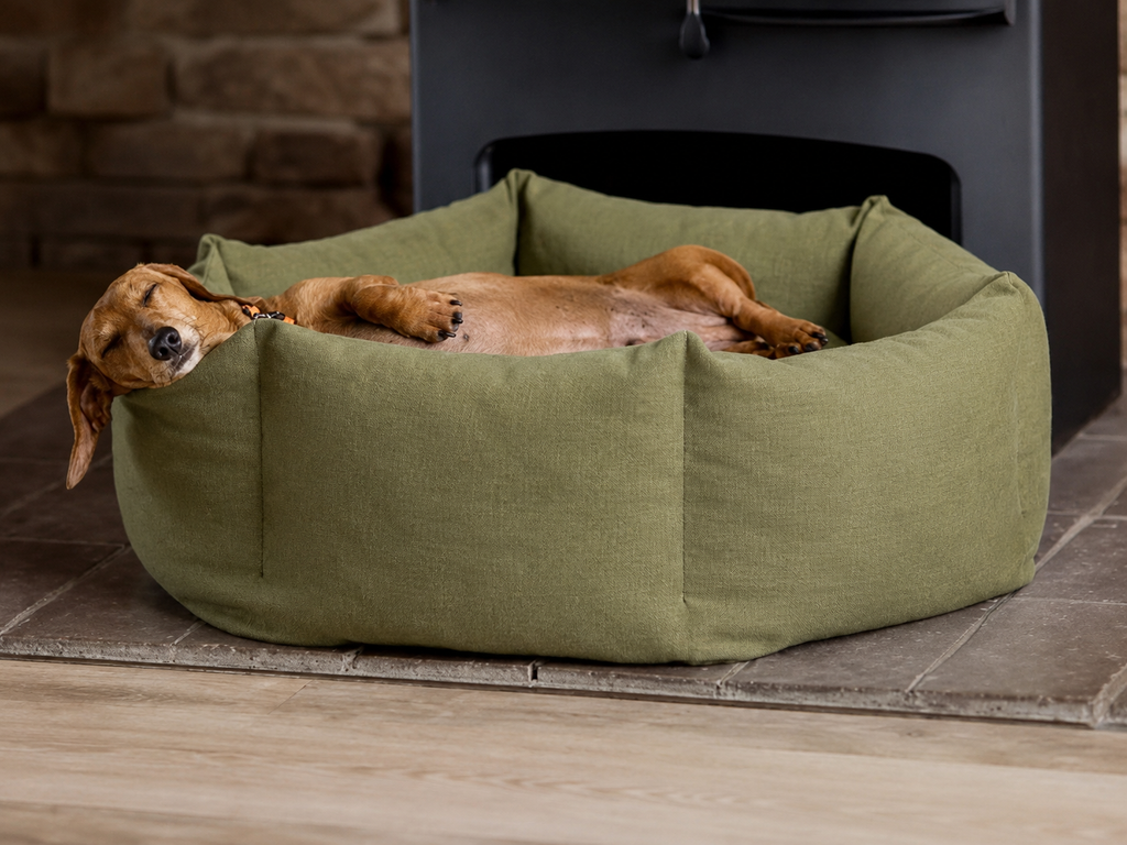 CozyPaws Orthopedic Dog Bed