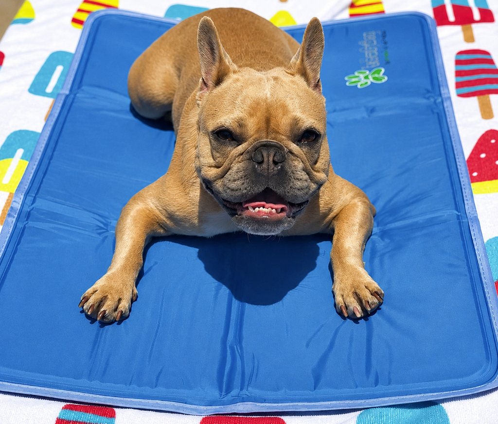 Cool Pet Pad – Pressure-Activated Dog Cooling Mat