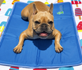Cool Pet Pad – Pressure-Activated Dog Cooling Mat