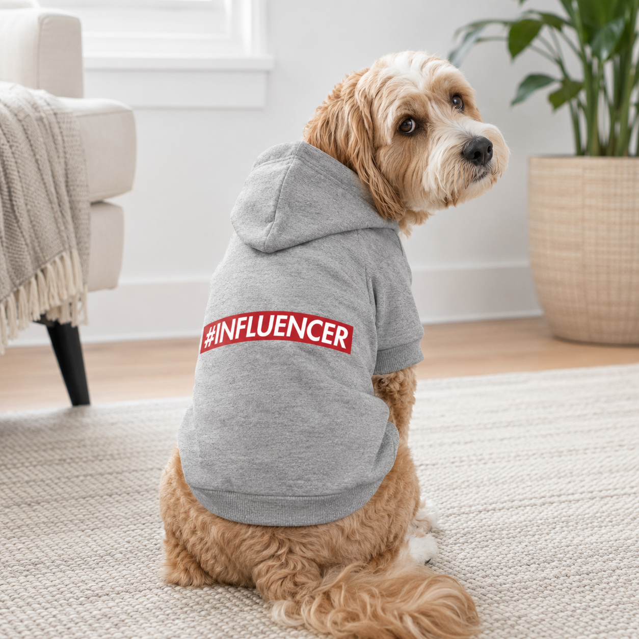 #Influencer Dog Tee, Dress & Hoodie