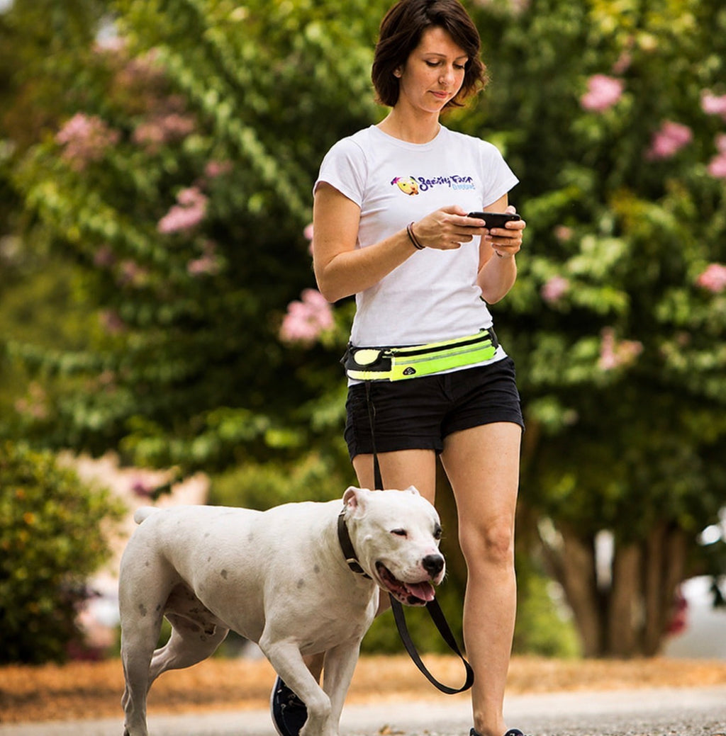 Hands-Free Dog Leash Belt with Bungee Leash