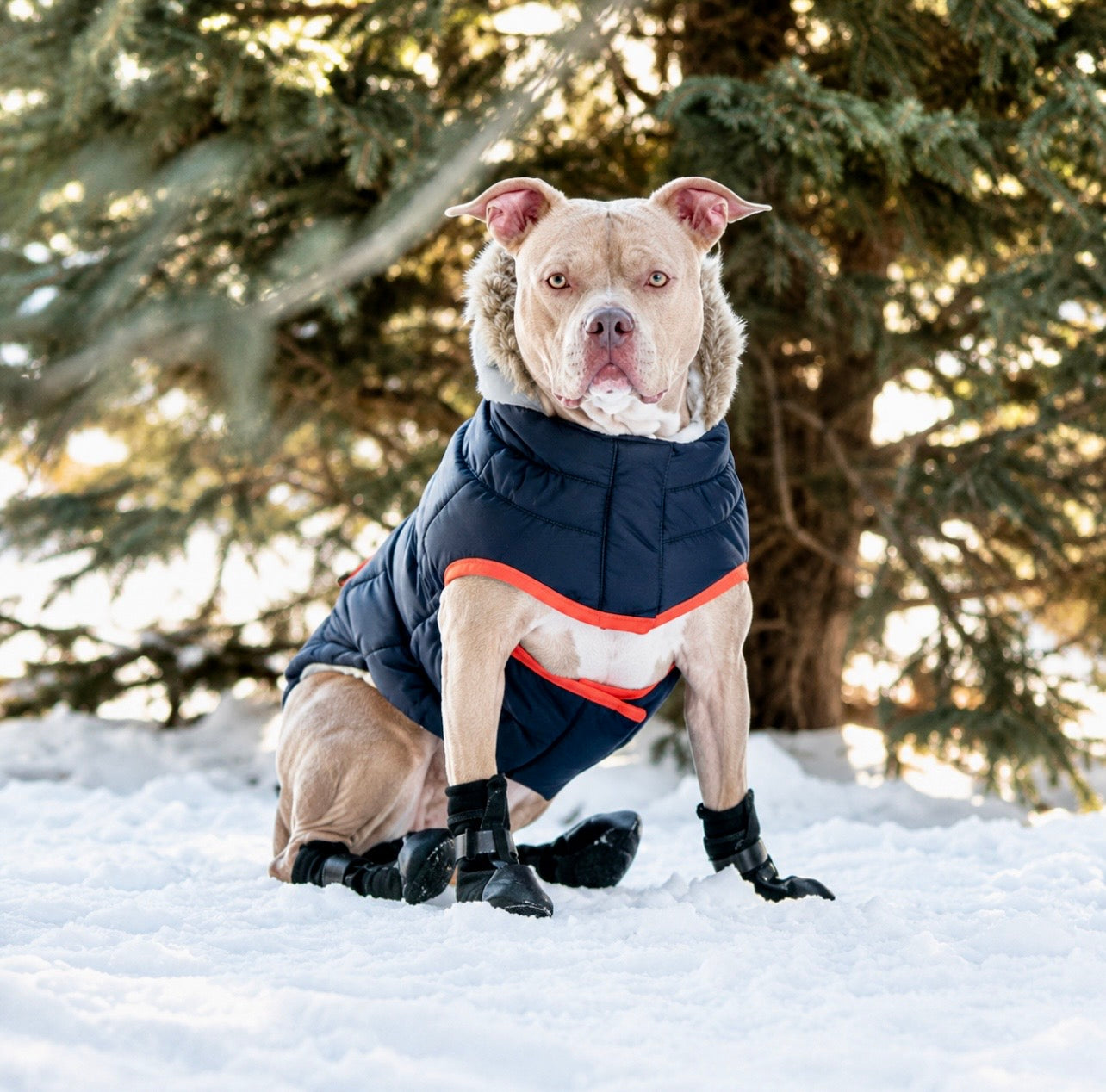 GF Pet Winter Sailor Dog Parka