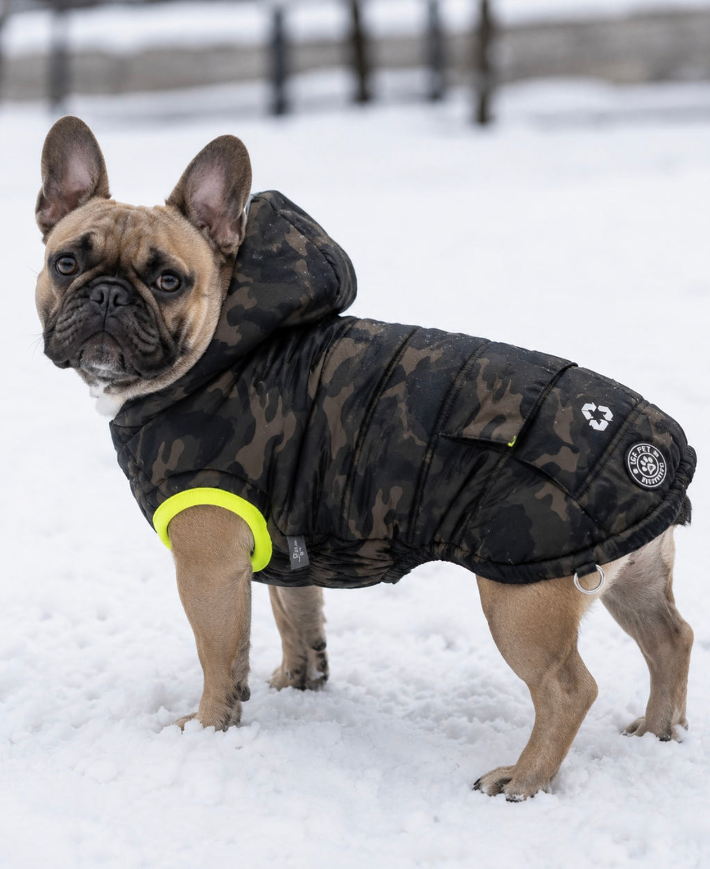 GF Pet® Recycled Parka | Water-Resistant Winter Dog Jacket