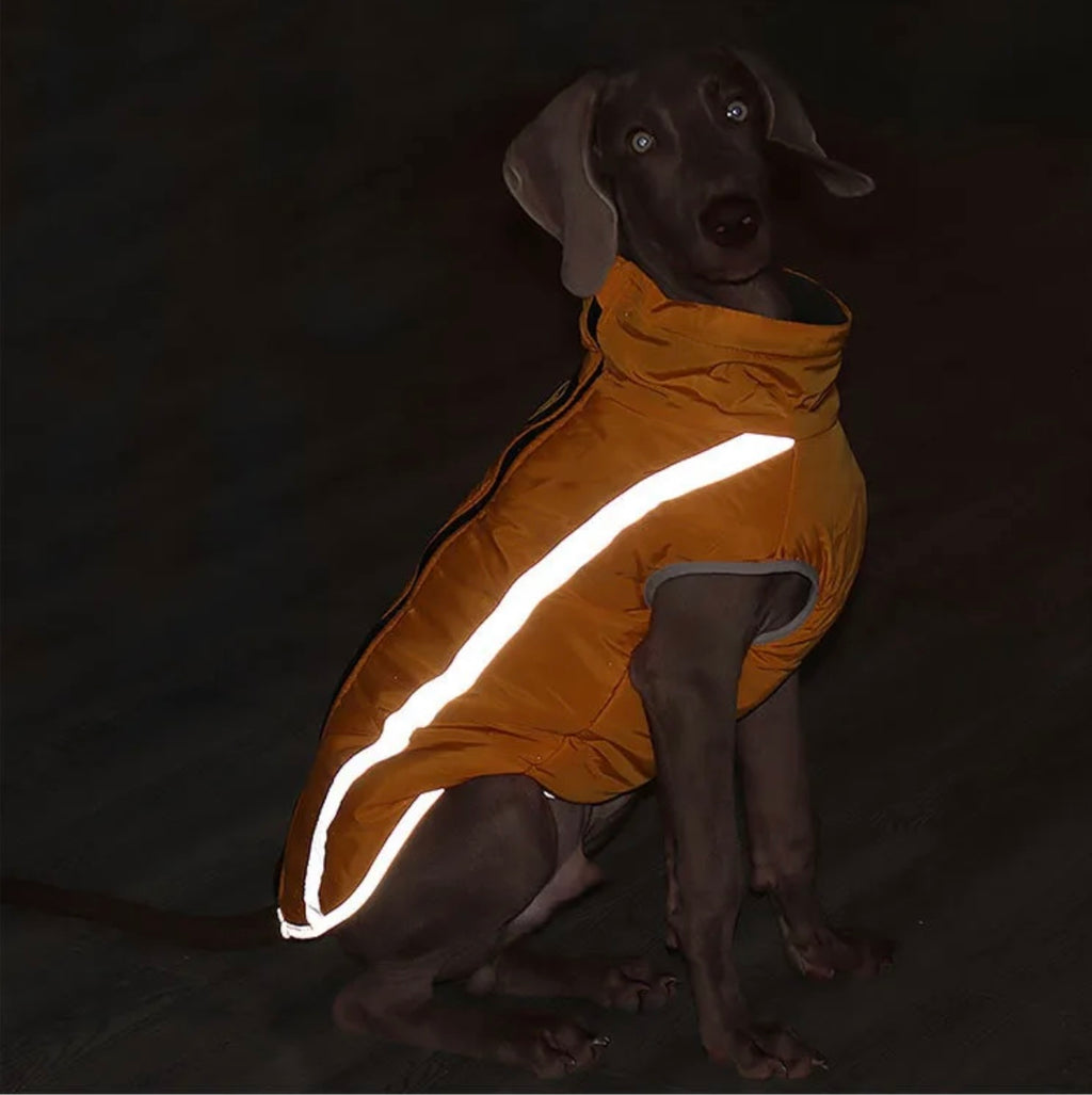 Ultra Cozy Windproof Dog Jacket