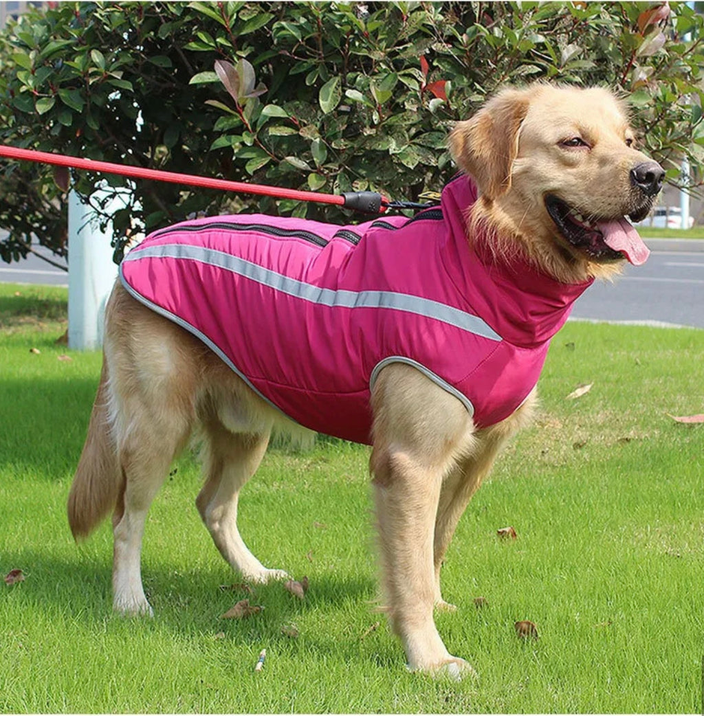 Ultra Cozy Windproof Dog Jacket