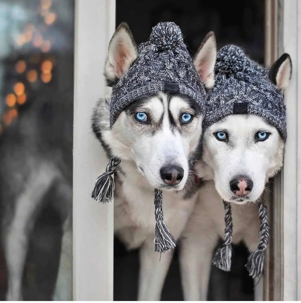 Fluffy Polar Pom Knitted Dog Hat