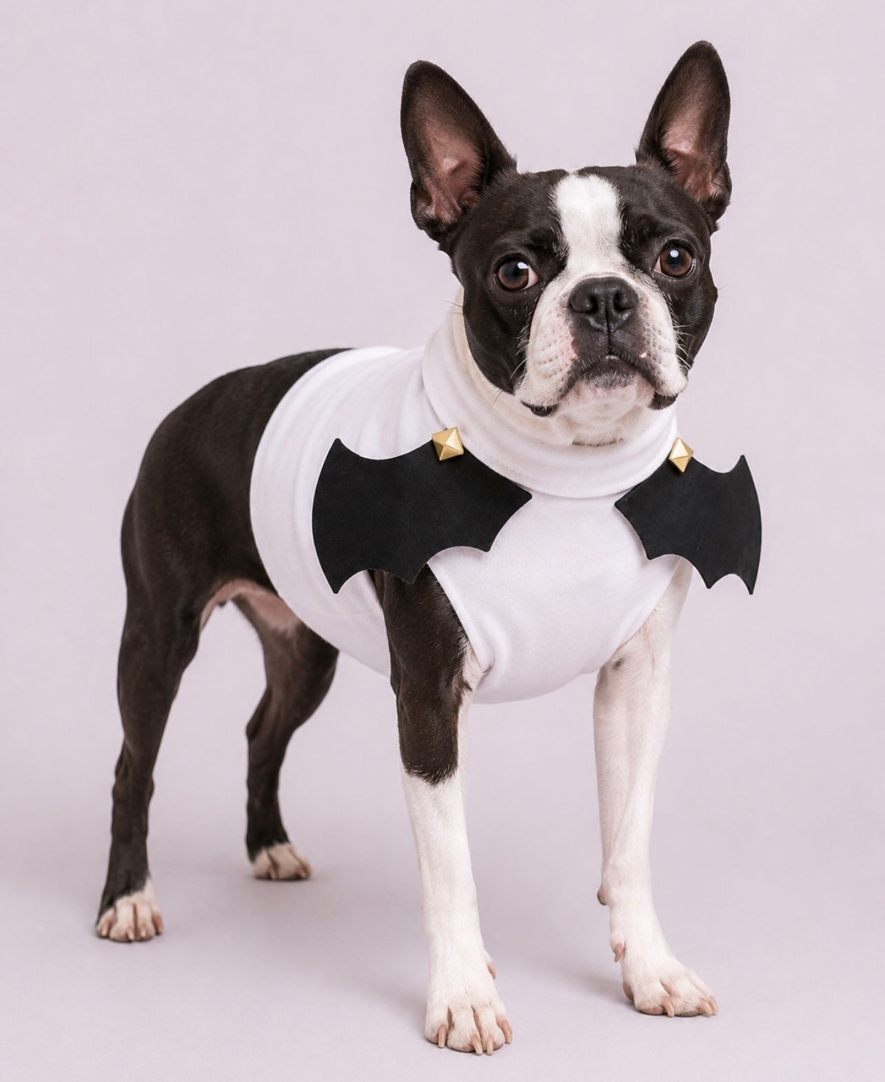 Bat Boy- Dog Shirt