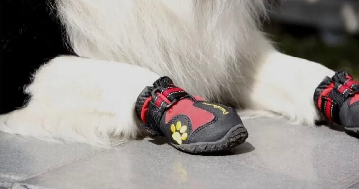 All-Terrain Waterproof Dog Boots