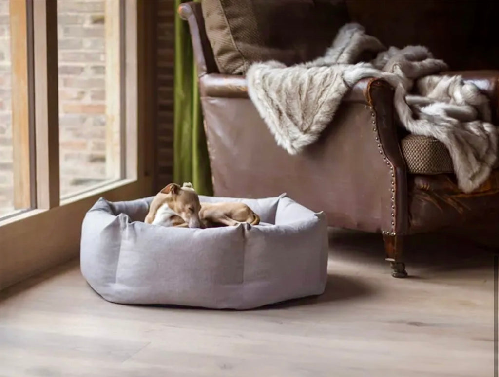 CozyPaws Orthopedic Dog Bed