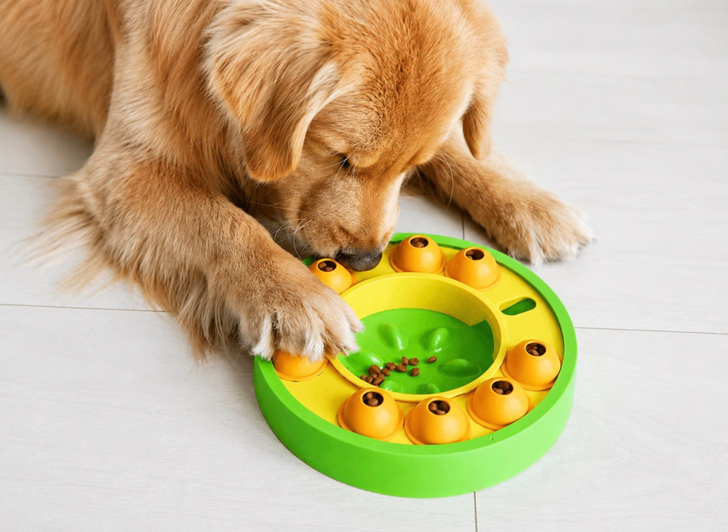 Interactive Dog Puzzle Feeder & Slow Feeder Bowl