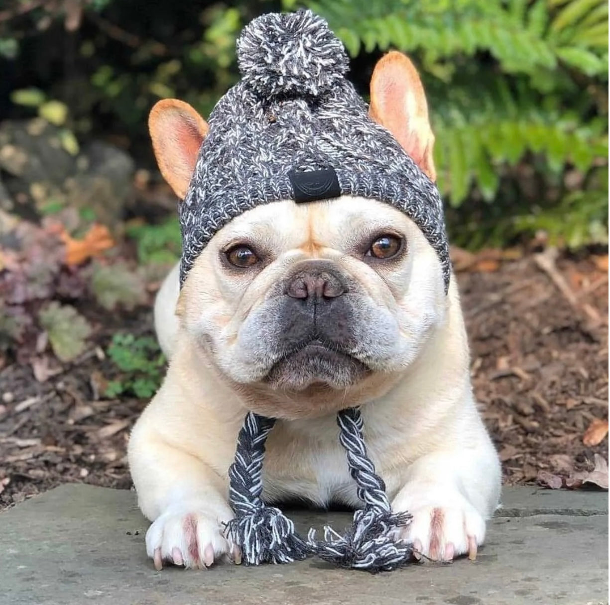Fluffy Polar Pom Knitted Dog Hat