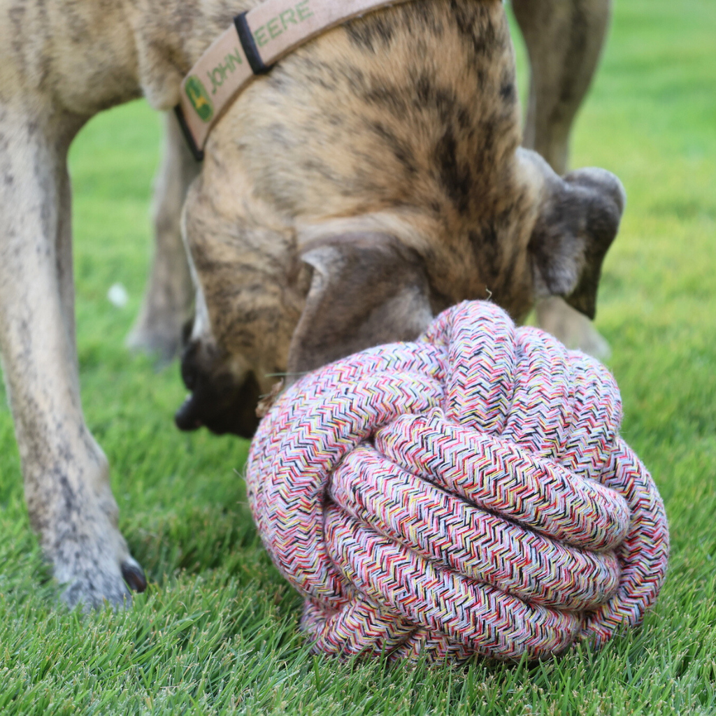 Oversized Rope Ball for Large Dogs