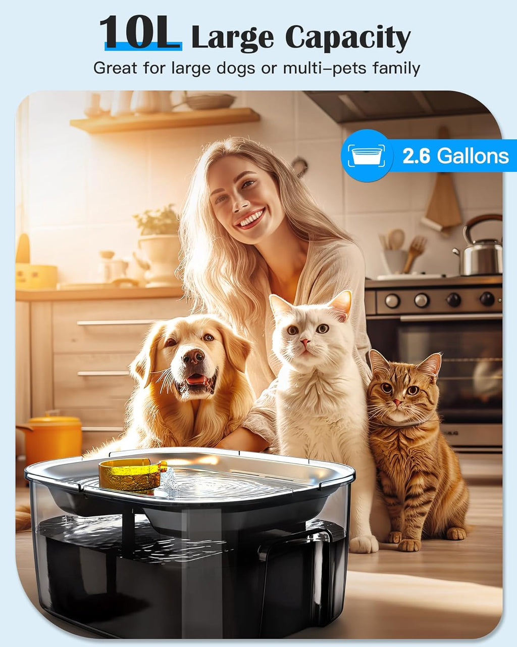 2.6 Gallon - 10L Stainless Steel Dog Water Fountain
