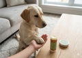 Natural Paw Balm for Dogs – Moisturizing & Protective Paw Care